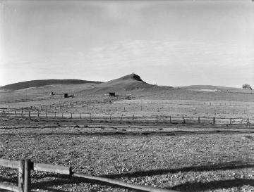 Landschaft südlich von Brilon, 1953.