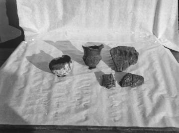 Archäologische Ausgrabungen am Dümmersee 1938, Funde aus der jüngeren Steinzeit: Gefäße aus der Trichterbecherkultur mit Tiefstichmuster.