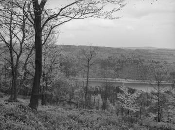 Das Forstrevier Ebbe bei Herscheid im Ebbegebirge, Blick in Richtung Oestertalsperre, 1930.