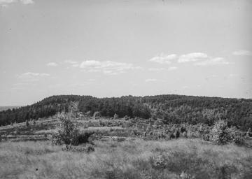 Landschaft bei Riesenbeck, 1933.