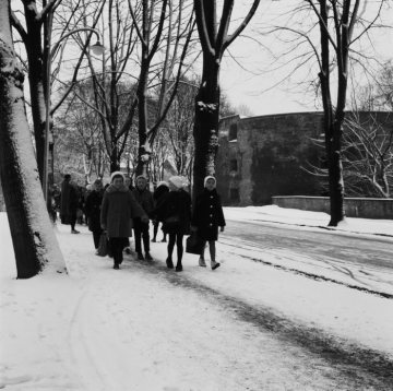 Schulklasse in der winterlichen Promenade Höhe Zwinger