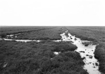Das Bourtanger Moor bei Versen, April 1925.