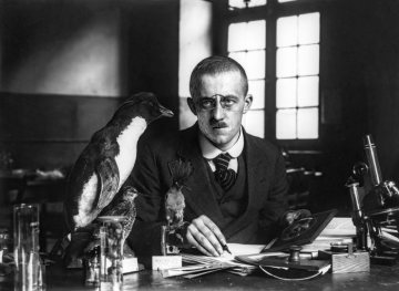 Hermann Reichling (1890-1948) als Zoologie-Doktorand 1912 - hier bei der Erarbeitung seiner Dissertation über die "Flügelfederkennzeichen der nordwestdeutschen Vögel" am Zoologischen Institut der Westfälischen Wilhelms-Universität, Münster. Promotion bei Prof. Dr. Walter Stempell 1913.