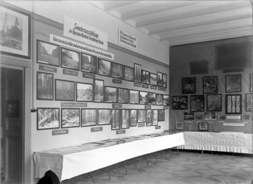 Westfälisches Provinzialmuseum für Naturkunde, Münster: Ausstellung zum Naturschutz in Nordwestdeutschland, initiert von Museumsdirektor Dr. Hermann Reichling 1926.