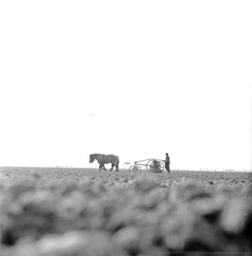 Bauer mit einer von Pferden gezogenen Sämaschine. Castrop-Rauxel-Schwerin, undatiert, Ende 1960er Jahre.