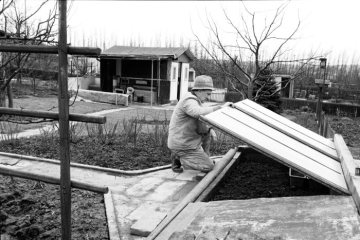 Saatpflege im Kleingartenverein "Am Schellenberg", Castrop-Rauxel, undatiert, vielleicht 1971.