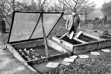 Saatpflege in der Kleinergartenanlage Castrop-Rauxel-Nord, März 1974.