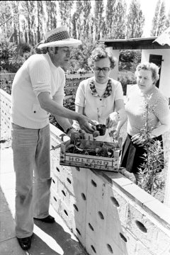Pflanzzeit in einer Kleingartenanlage bei Castrop-Rauxel, Mai 1978.