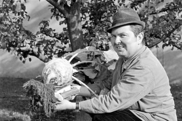 Kleingärtner mit Riesenkohlrabi. Castrop-Rauxel, Oktober 1975.