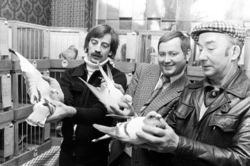 Stolze Taubenzüchter - Saisonsieger - Taubenausstellung am 14. Januar 1980 in der Gaststätte Schmidt am Markt, Castrop-Rauxel-Ickern.