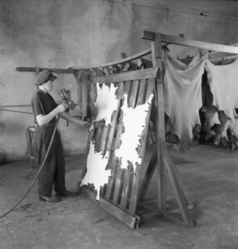 Lederverarbeitung in einer Gerberei in Beckum: Bearbeitung der Tierhäute