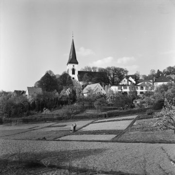Oerlinghausen, 1960: Dorfgärten am Ortsrand mit Blick zur ev. Pfarrkirche St. Alexander
