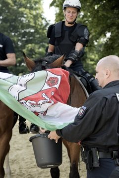 Polizei-Landesreiterstaffel NRW Dortmund - Gelassenheitstraining der Pferde: Geübt werden Unerschrockenheit und Gehorsam bei störenden Gegenständen, Lärm und Funkenflug. Juni 2018.