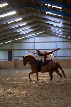 Akrobatik zu Pferde: Voltigiergruppe beim Training auf dem Pferd. Lemgo, 2019.
