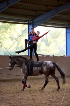 Akrobatik zur Pferde: Voltigiergruppe trainiert für eine Kür in StarTrek-Kostümen. Lemgo, 2019.