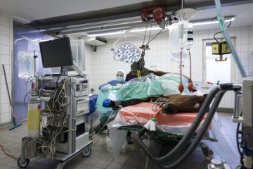 Operation in der Pferdeklinik Telgte, 2019.