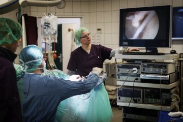 Operation unter Einsatz eines Endoskops in der Pferdeklinik Telgte, 2019.