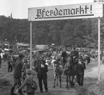 Pferdemarkt Telgte, 1949: Besucherzustrom