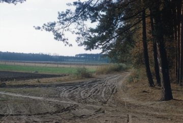 Sandweg zwischen Feld und Wald in der Hohen Ward
