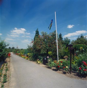 Kleingartenanlage in Körne, Hannöversche Straße