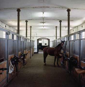 Westfälische Reit- und Fahrschule: Pferdestall mit Blick entlang der Boxen