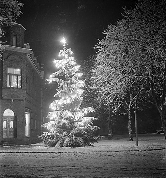 Elektrisch beleuchteter Weihnachtsbaum vor dem Eckhaus Hauptstraße/Bahnhofstraße, undatiert, 1930er Jahre (?).