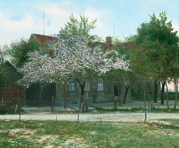 Baumblüte vor dem Schulhaus in Nateln (coloriert)