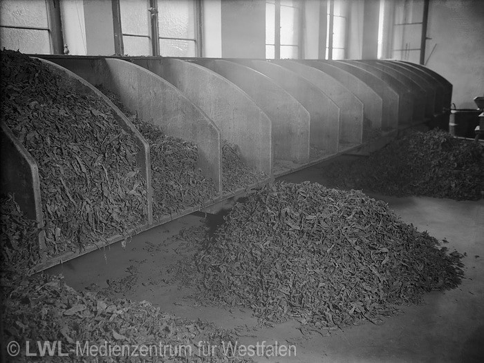 10_3560 Tabakindustrie im Münsterland vor dem 2. Weltkrieg