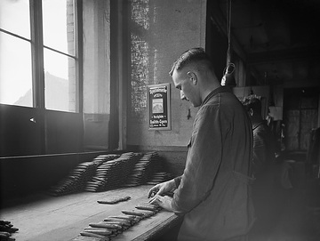 Zigarrenmacher der Firma Rotmann in Steinfurt bei der Arbeit: Sortieren der Zigarren nach Farben
