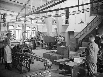 Zigarrenfabrik Rotmann in Steinfurt: Arbeiter beim maschinellen Zigarrenpacken und Banderolieren der Kisten