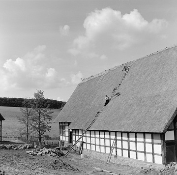 LWL-Freilichtmuseum Detmold, Lippischer Meierhof, Aufbau des Haupthauses von 1570: Dachdecker bei der Fertigstellung des Daches