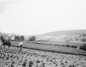 Pflügender Bauer am Fuße des Velmerstot  (441m, Eggegebirge)