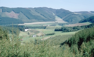 Blick vom Eimberg ins Wennetal bei Wenholthausen