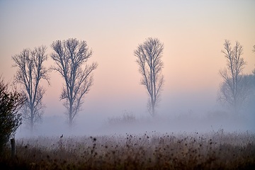 Sonnenaufgang mit Nebelschwaden in der Davert, einem Naturschutzgebiet zwischen Münster und Senden