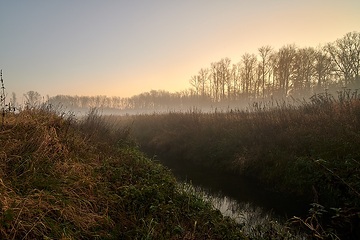 Sonneaufgang mit Nebelschwaden am Emmerbachaue im Naturschutzgebiet Davert in Senden