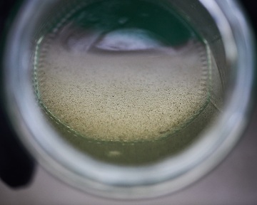 Naturschutzgebiet Heiliges Meer bei Hopsten/Recke: Während eines Gewässerökologischen Kurses wird Plankton aus dem Großen Heiligen Meer in einem Glas aufgefangen