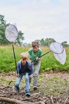 Sommercamp für Schüler der 6. und 7. Klasse zur Artenvielfalt im Naturschutzgebiet Heiliges Meer bei Hopsten/Recke: Jungen fangen Insekten zur späteren Bestimmung