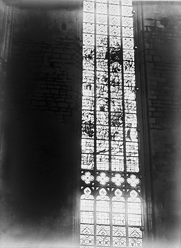 Glasmalerei, 16. Jahrhundert: Fenstergemälde in der Kirche St. Maria zur Wiese (Stammbaum Jesses), Aufnahmedatum der Fotografie ca. 1913.
