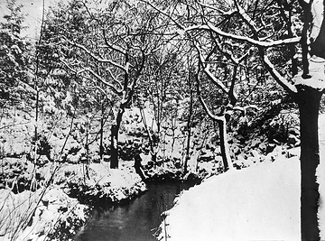 Die Jordanquelle im verschneiten Stadtwald, um 1900?