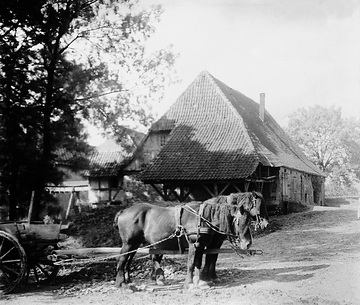 Pferdegespann vor der Wassermühle am Heubach