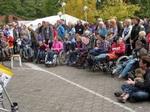 Hier klicken f&uuml;r Bild in hoher Aufl&ouml;sung