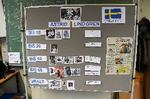 Hier klicken f&uuml;r Bild in hoher Aufl&ouml;sung