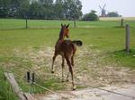Hier klicken f&uuml;r Bild in hoher Aufl&ouml;sung