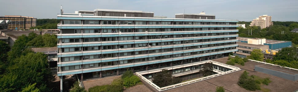 Schmuckgrafik