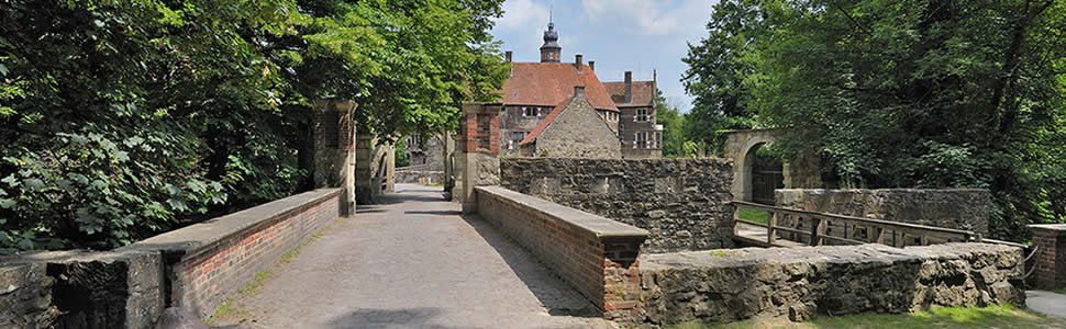 Schmuckgrafik