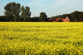 Naturschutz