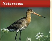 Link zur Seite Naturraum in Westfalen.