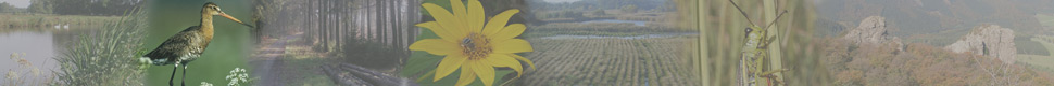 Naturraum