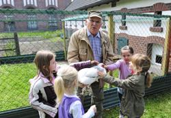 H�hner im Arbeitergarten der Zeche Zollern