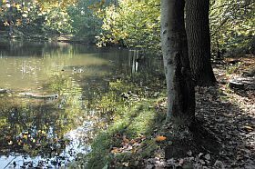 Wiedergewonnene Natur am Dellwiger Bach
